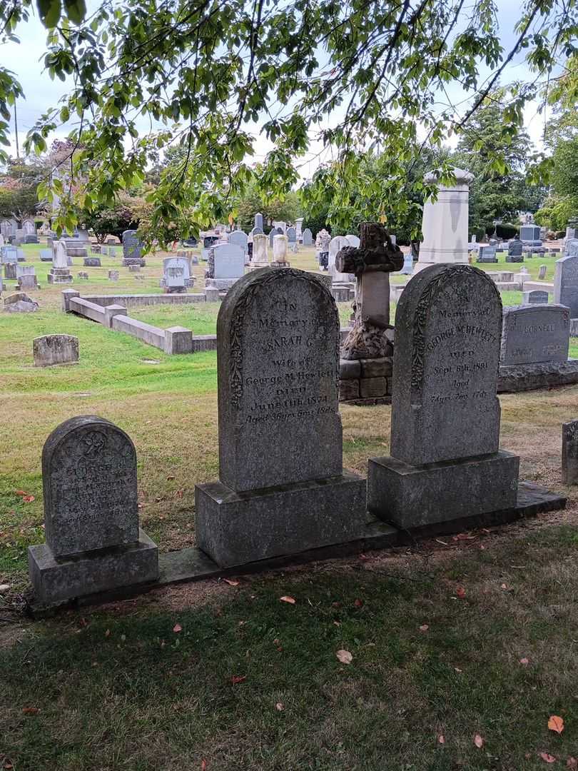 Sarah G. Hewlett's grave. Photo 1