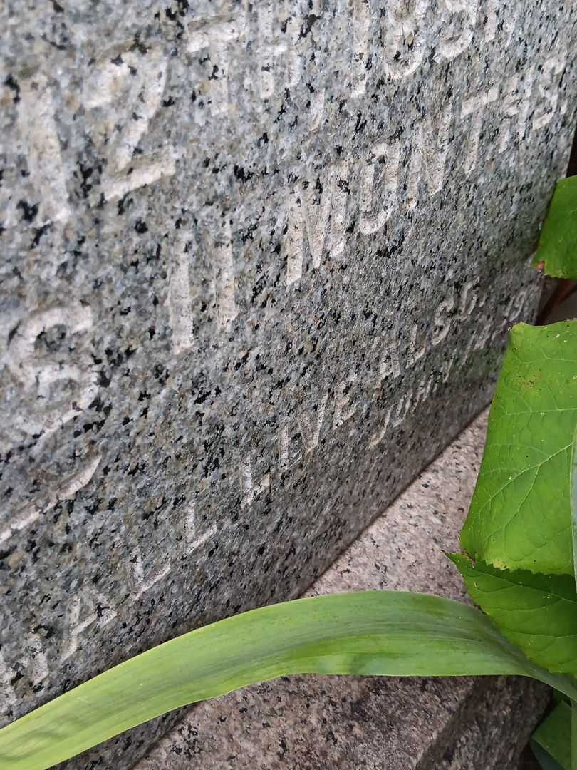 James H. Jennings's grave. Photo 5