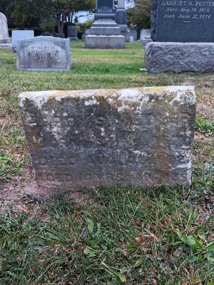 Harry S. Medlar's grave. Photo 2