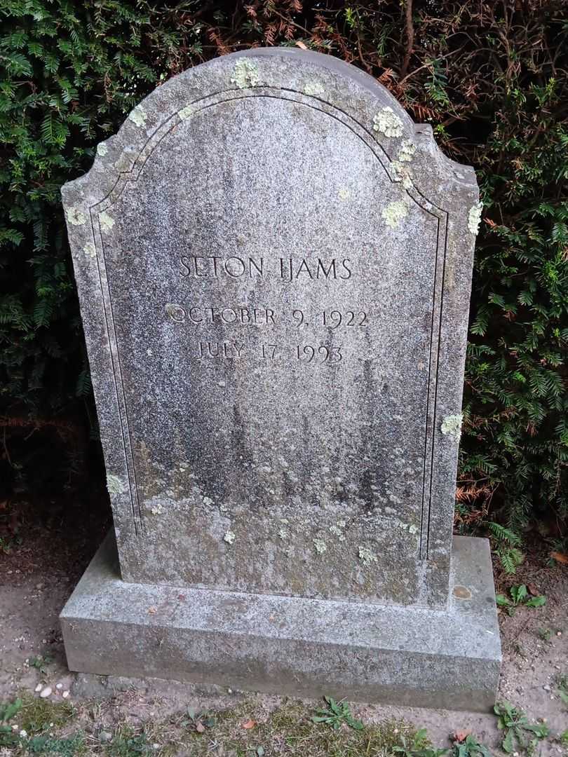 Seton Ijams's grave. Photo 2