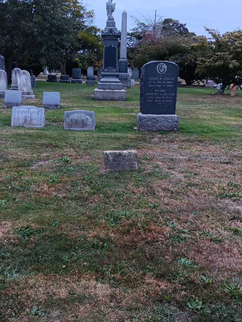 Harry S. Medlar's grave. Photo 1