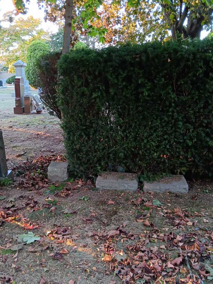 Charles R. Wanser's grave. Photo 2