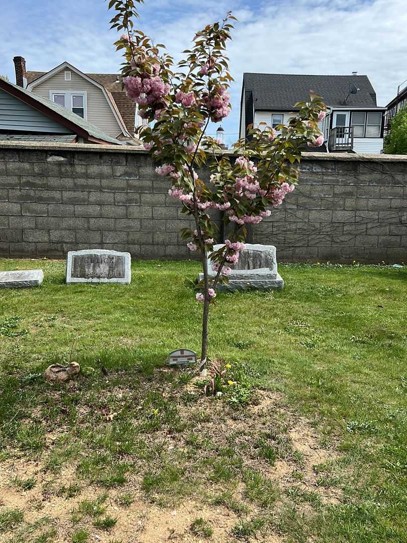 David Ladny's grave. Photo 1