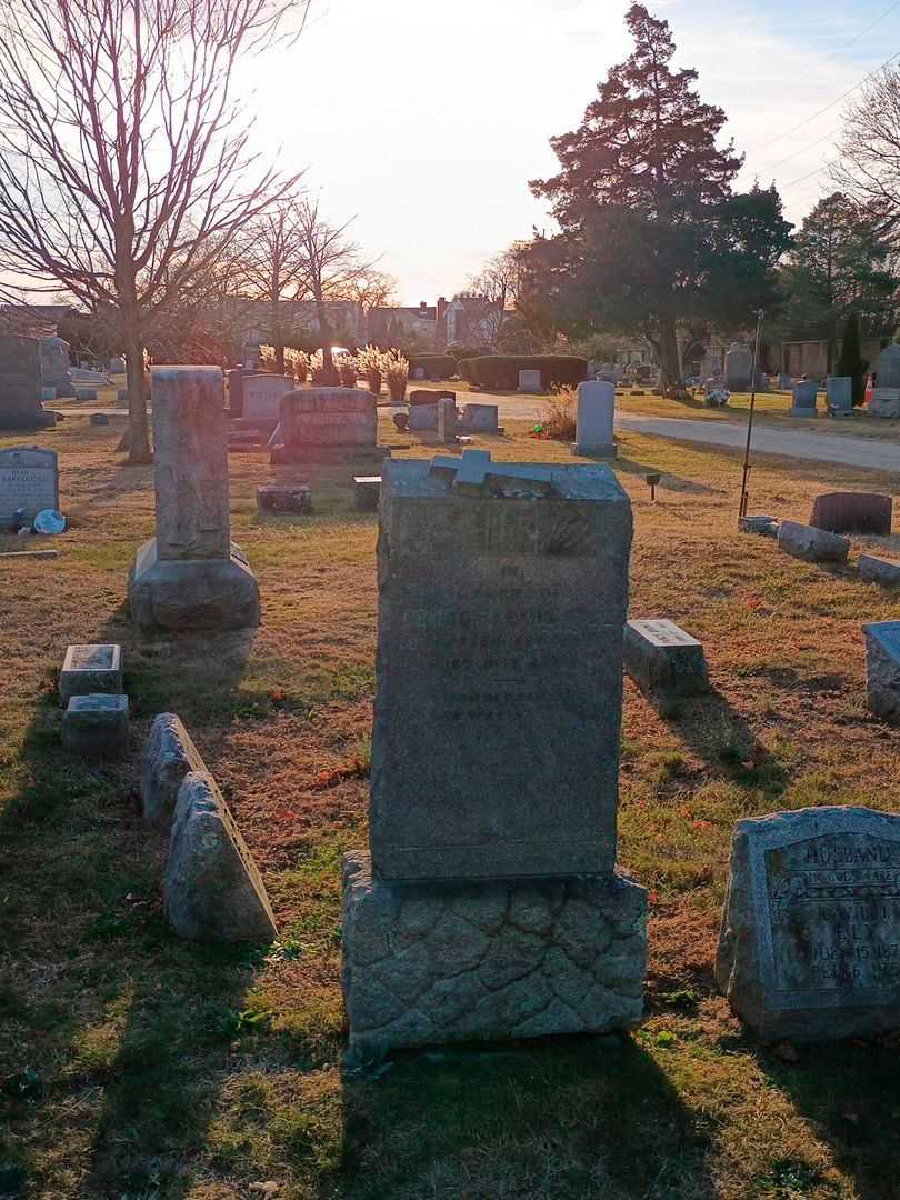 George Lewis Rice's grave. Photo 2