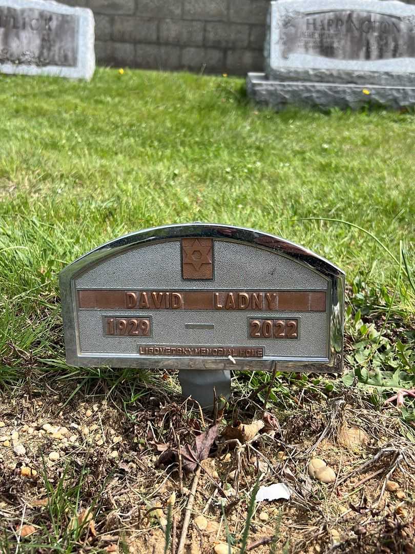 David Ladny's grave. Photo 2