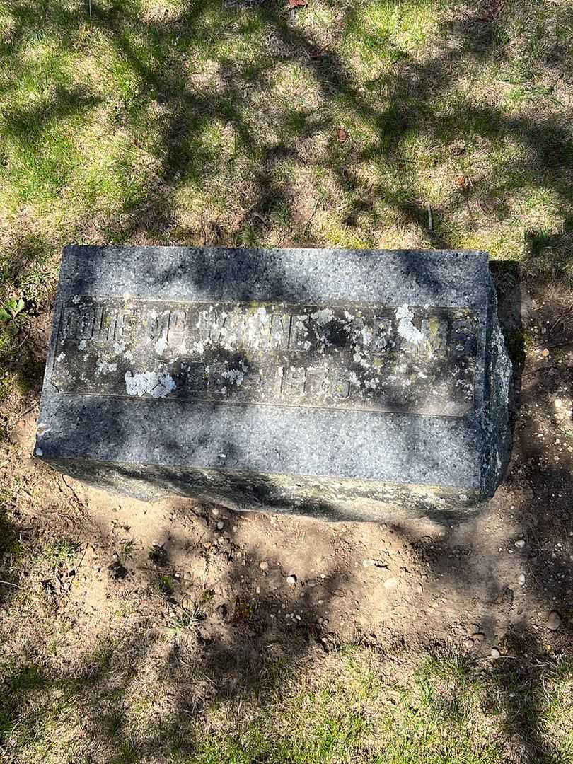 Charlotte M. "Dolie" McWhinney Adams's grave. Photo 3