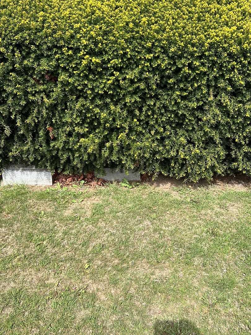 Sylvester C. Mott's grave. Photo 2
