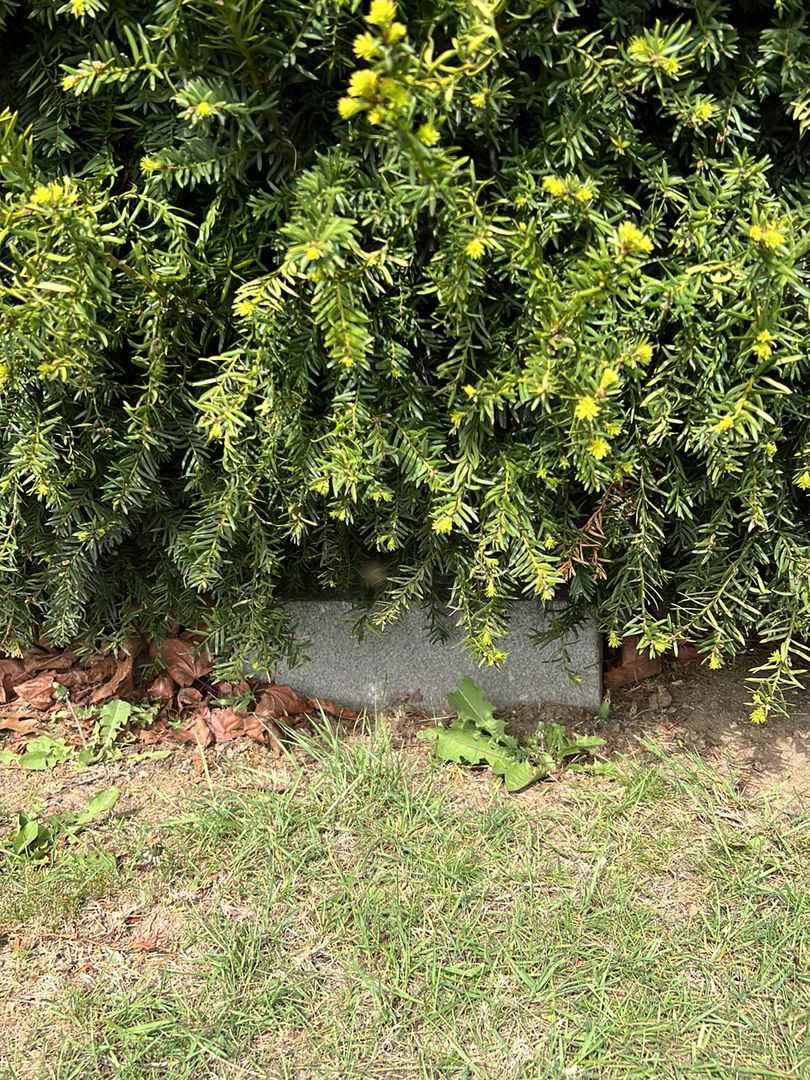 Sylvester C. Mott's grave. Photo 3