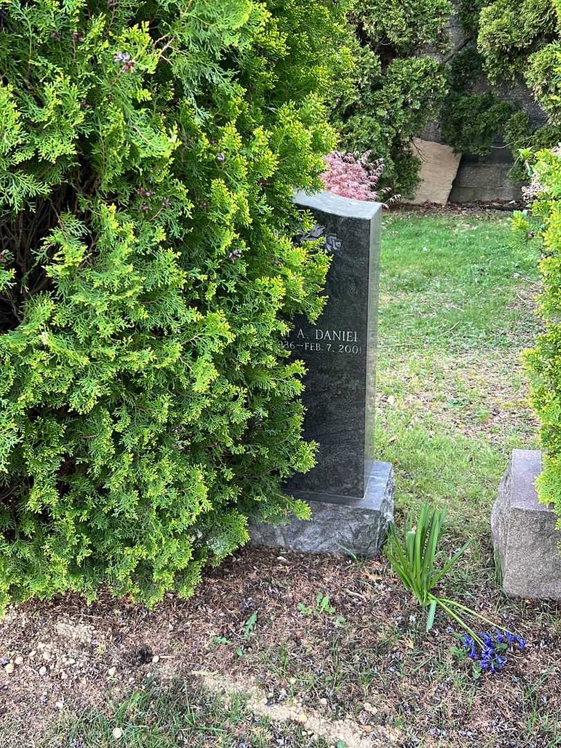 William A. Daniel's grave. Photo 1