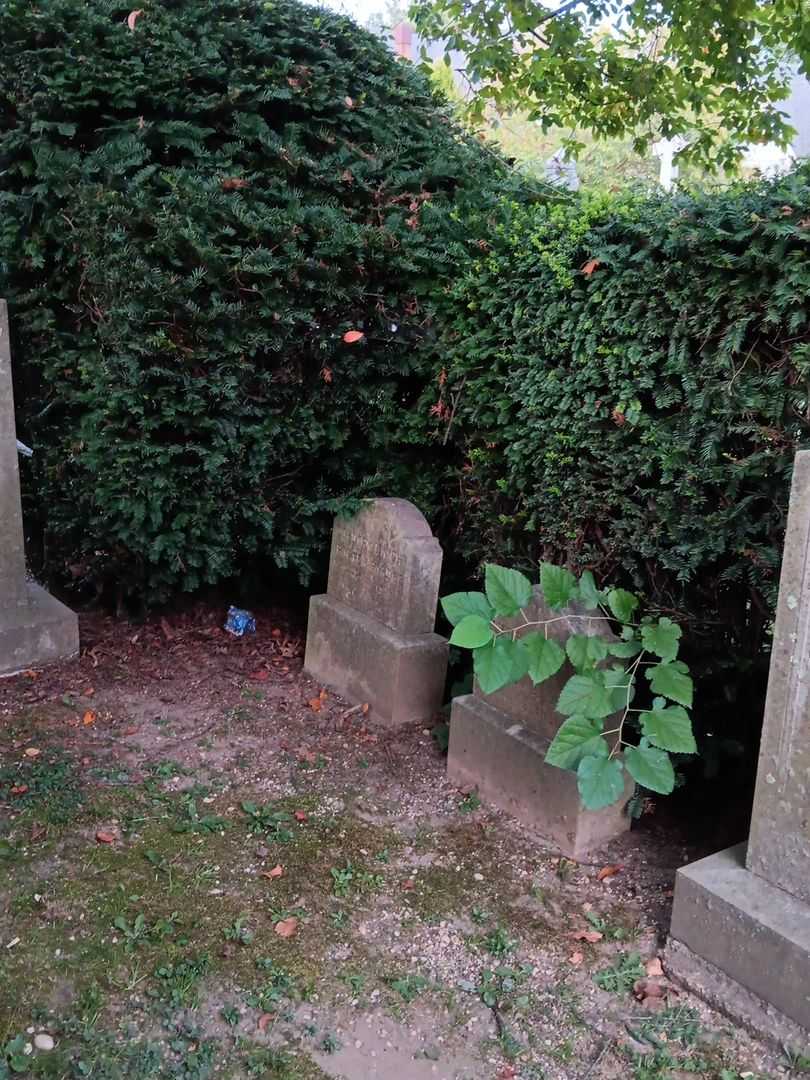 Dorothy Dwight Porter Pardee's grave. Photo 1