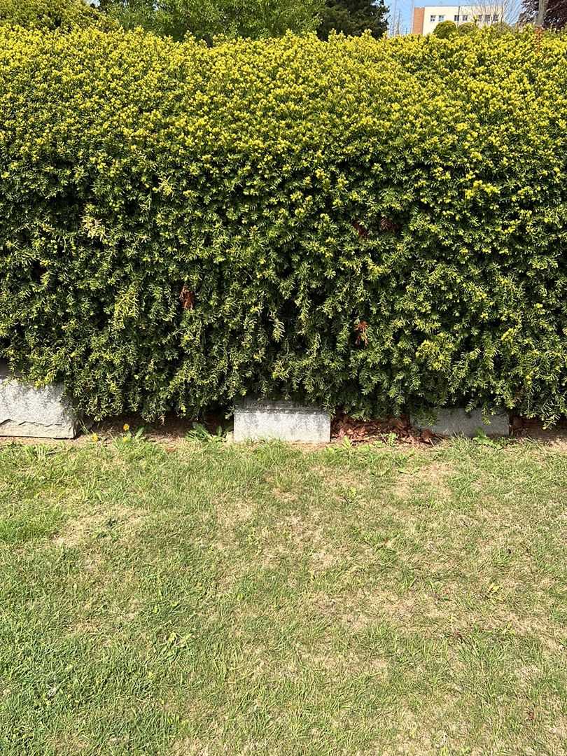 Addie F. Mott's grave. Photo 2