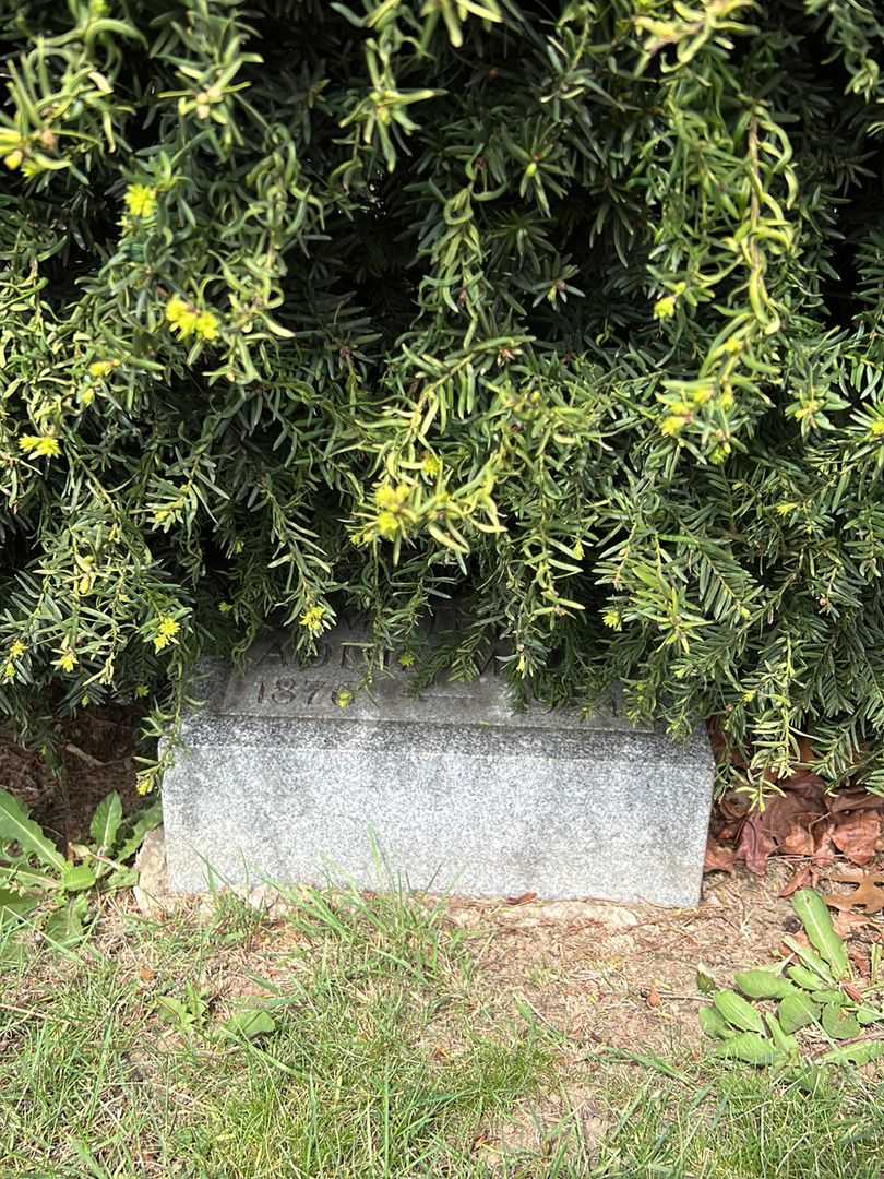 Addie F. Mott's grave. Photo 3
