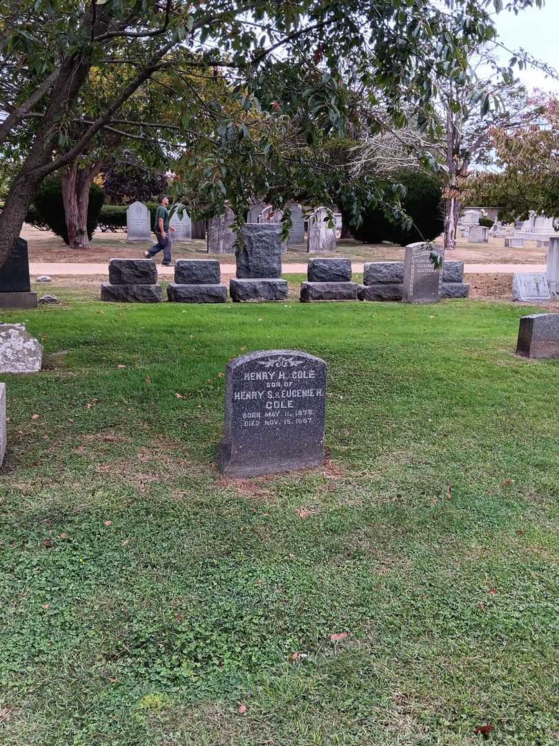 Henry H. Cole's grave. Photo 1