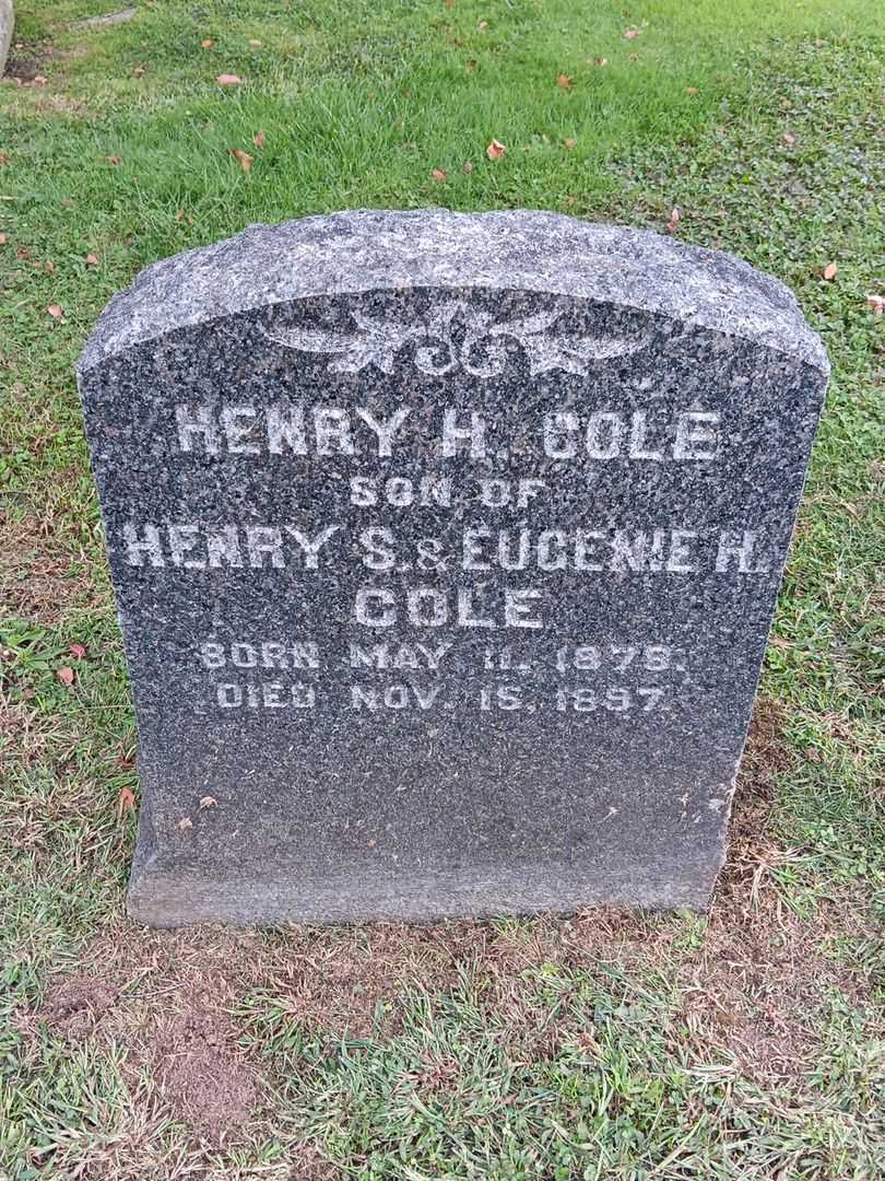 Henry H. Cole's grave. Photo 2