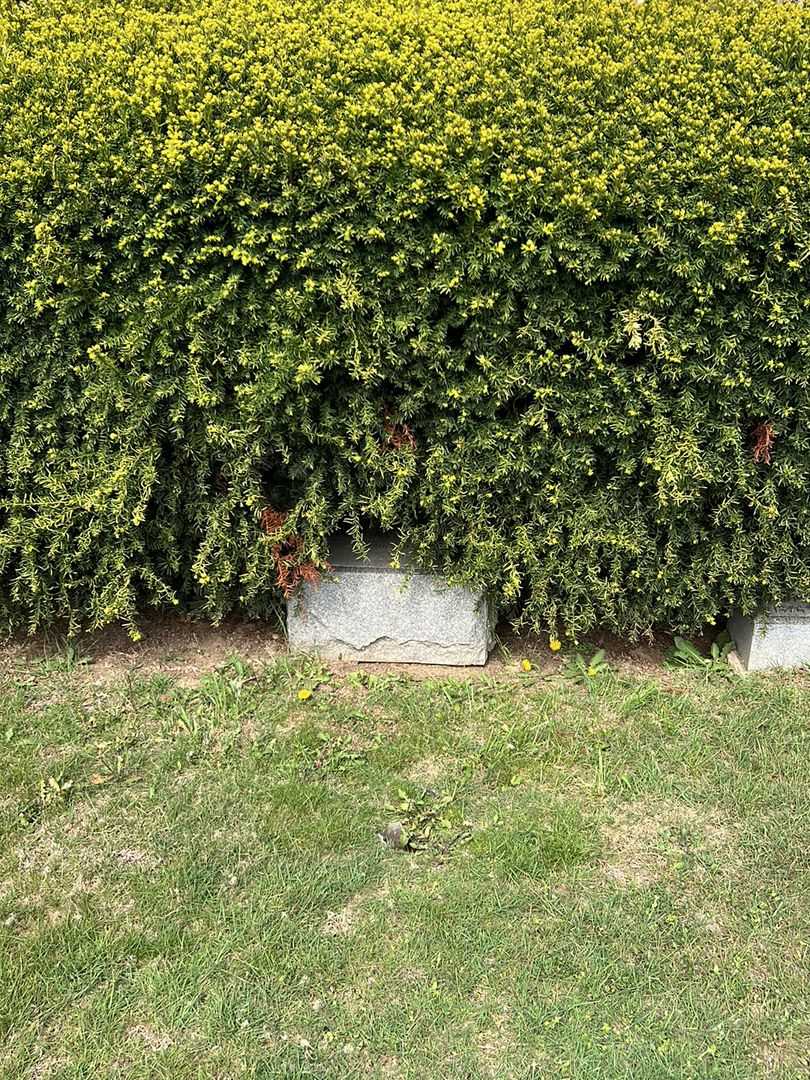 Jeffrey L. Bahr's grave. Photo 2