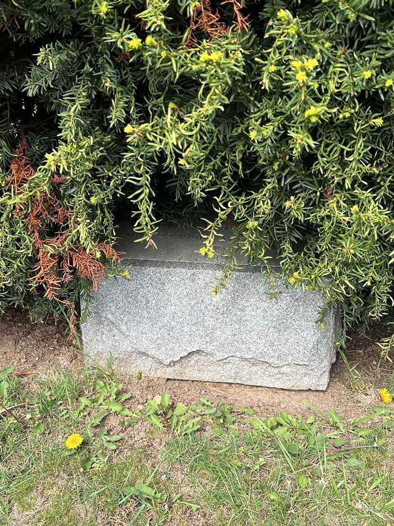 Jeffrey L. Bahr's grave. Photo 3