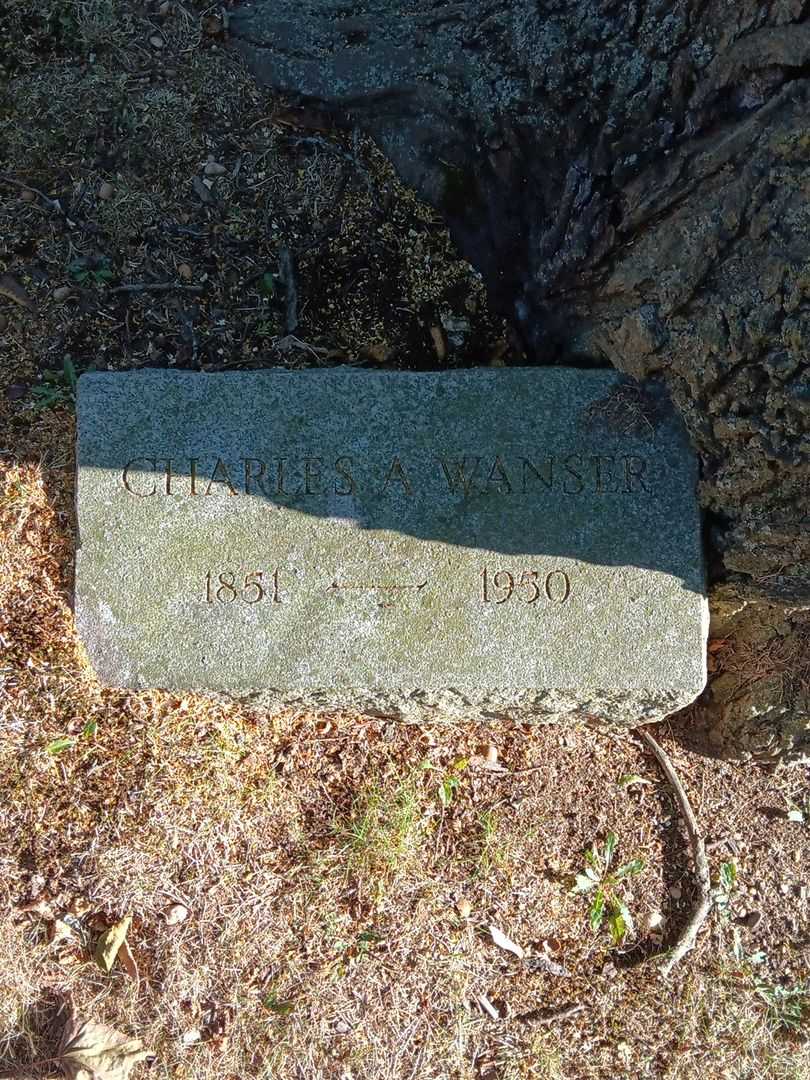 Charles A. Wanser's grave. Photo 3