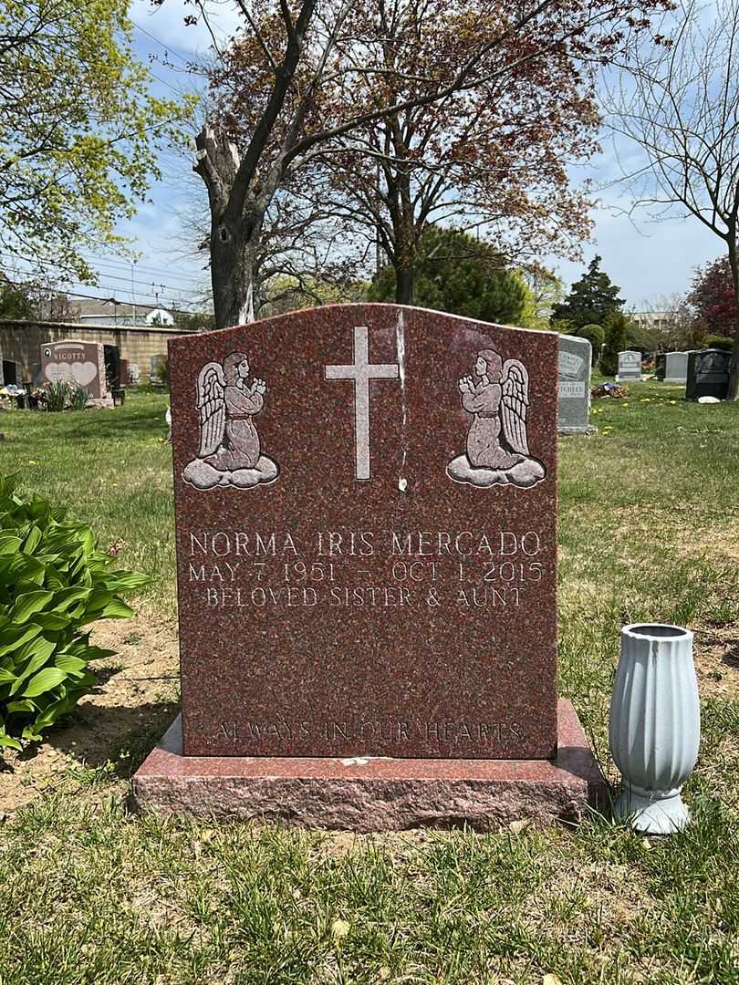 Norma Iris Ramirez Mergado's grave. Photo 2