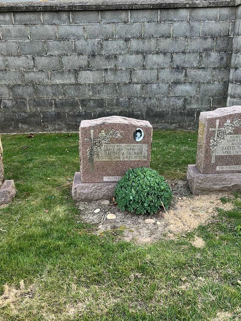 Daphne A. Salmon's grave. Photo 1