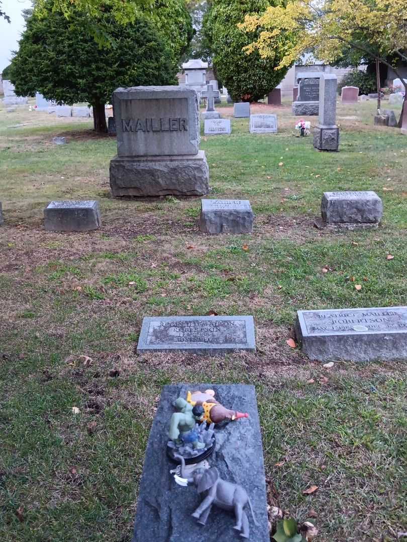 Reginald Walton Robertson's grave. Photo 2