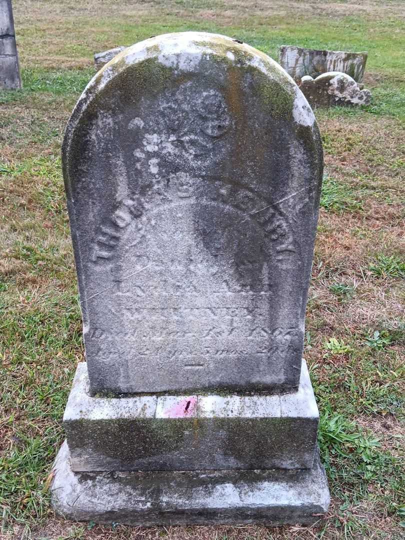 Thomas Henry Whitney's grave. Photo 2