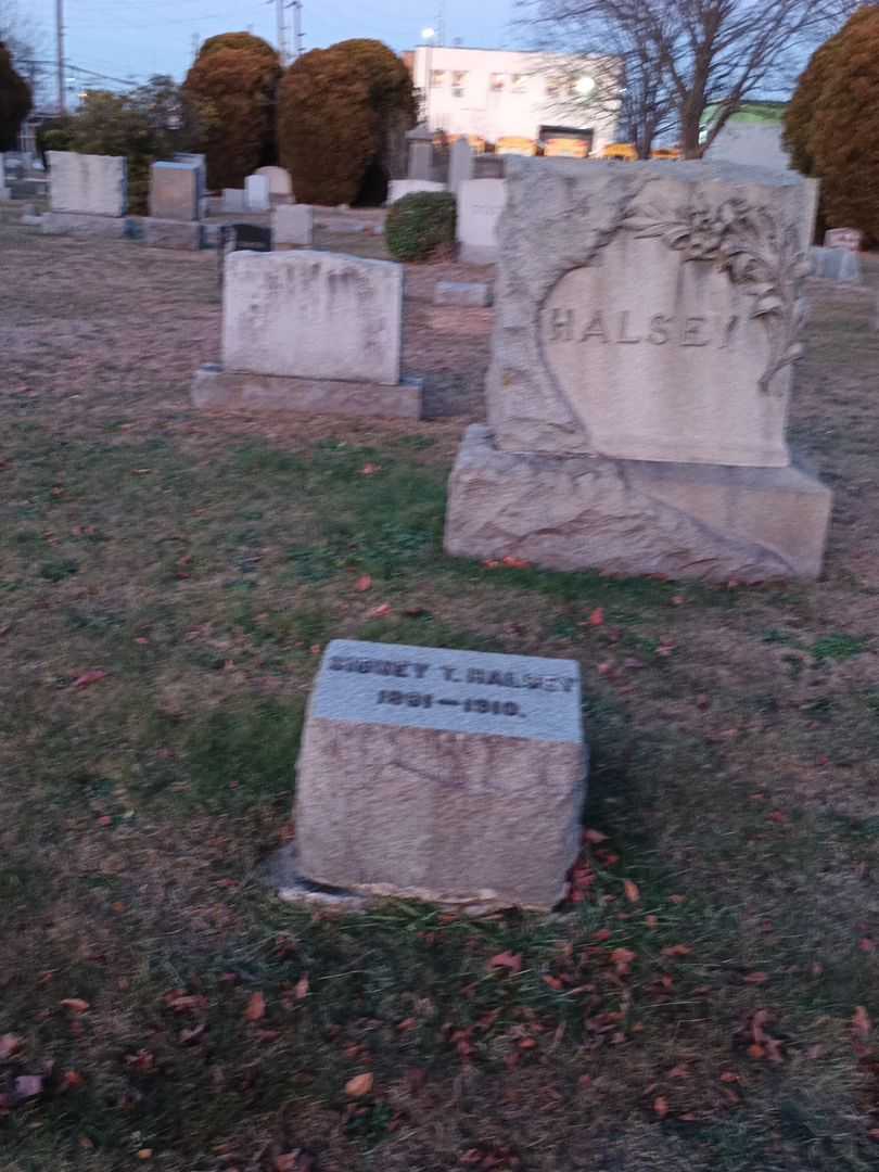 Sidney T. Halsey's grave. Photo 2