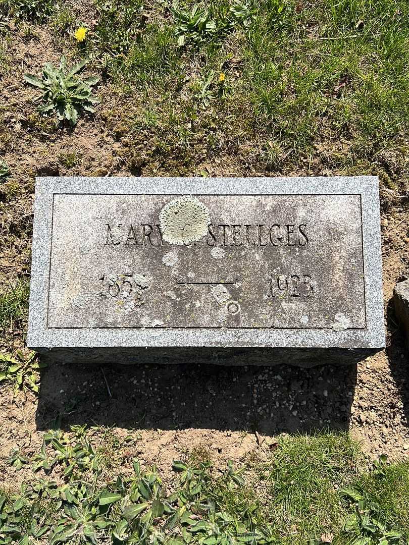 Mary Clara Stellges's grave. Photo 3