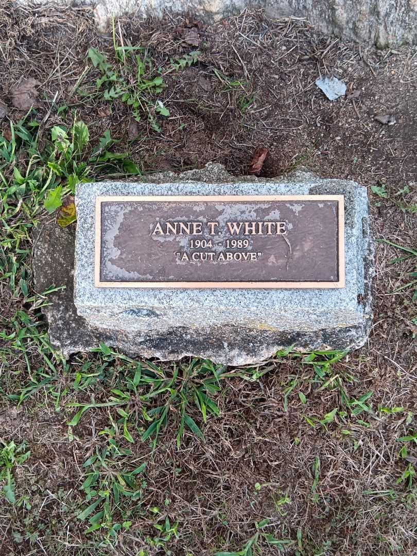 Anne T. White's grave. Photo 2