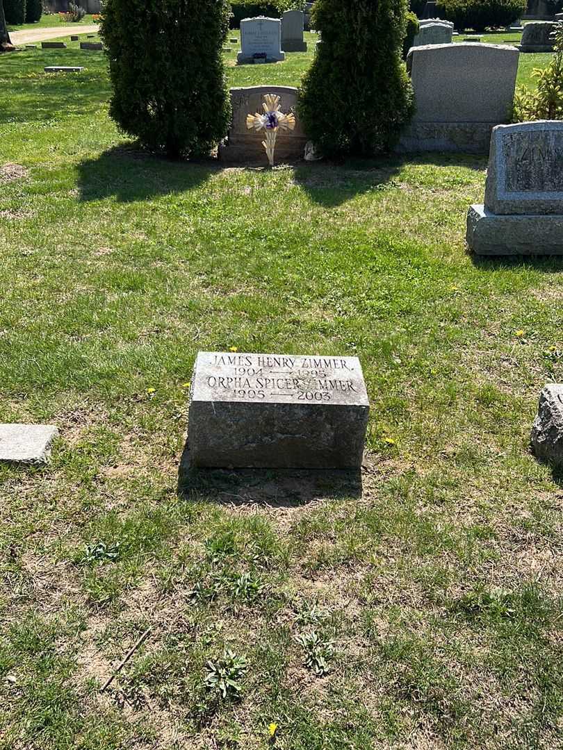 James Henry Zimmer's grave. Photo 2