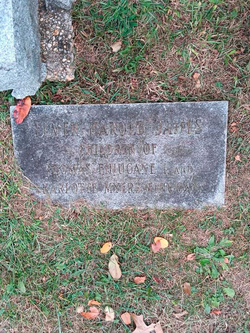 Elmer Harold James Finucant's grave. Photo 2