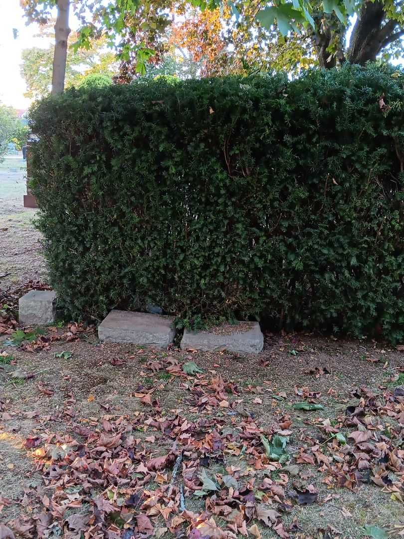 Katherine Wanser's grave. Photo 2