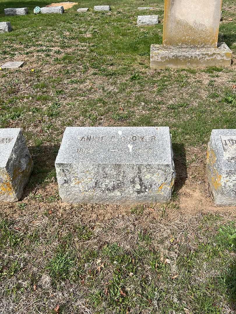 Fannie C. Brower's grave. Photo 2