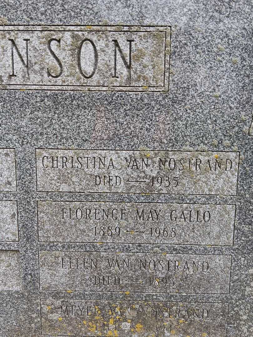 Ellen Van Nostrand Johnson's grave. Photo 4