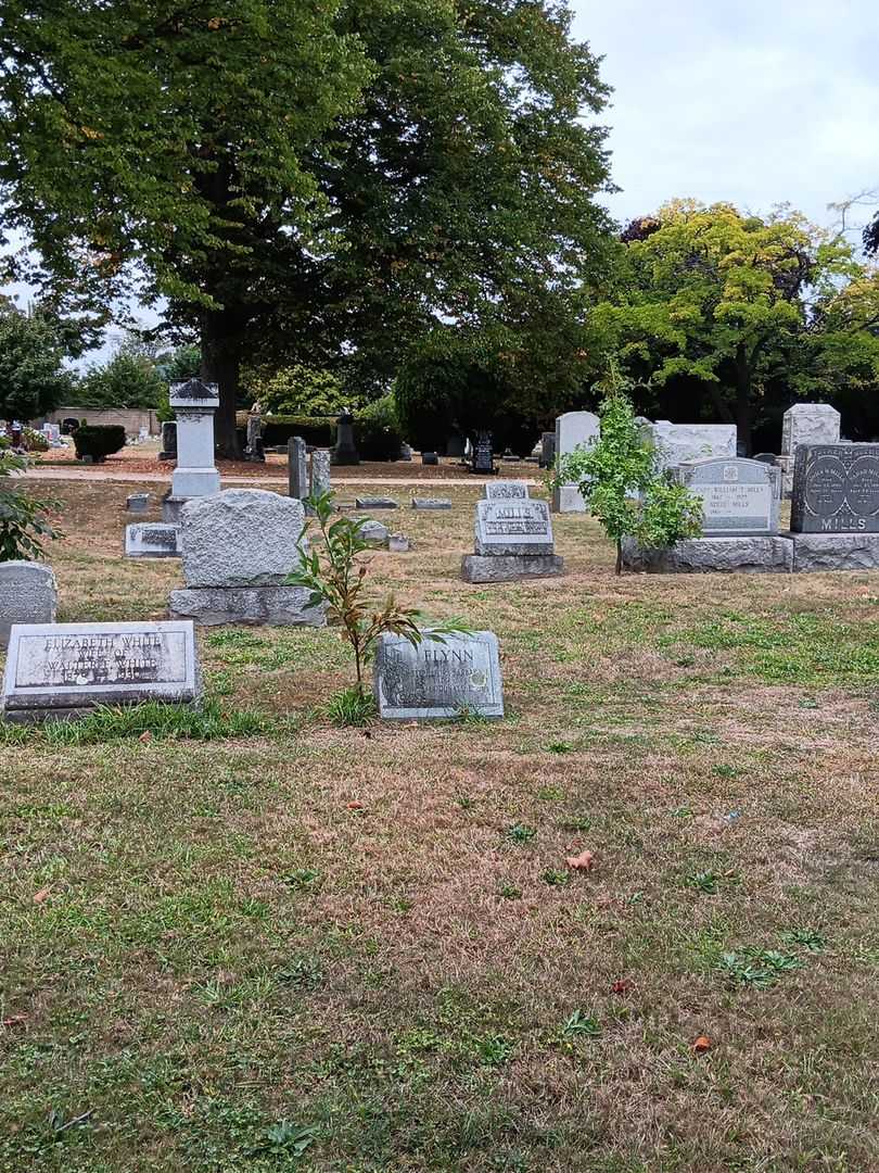 Donald E. Flynn's grave. Photo 1