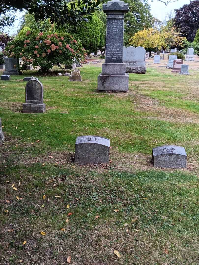 D. P.'s grave. Photo 1