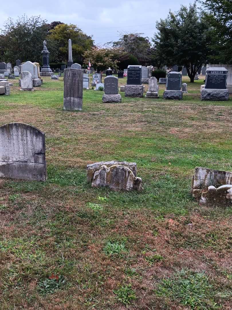 Sarah Van Mater's grave. Photo 1