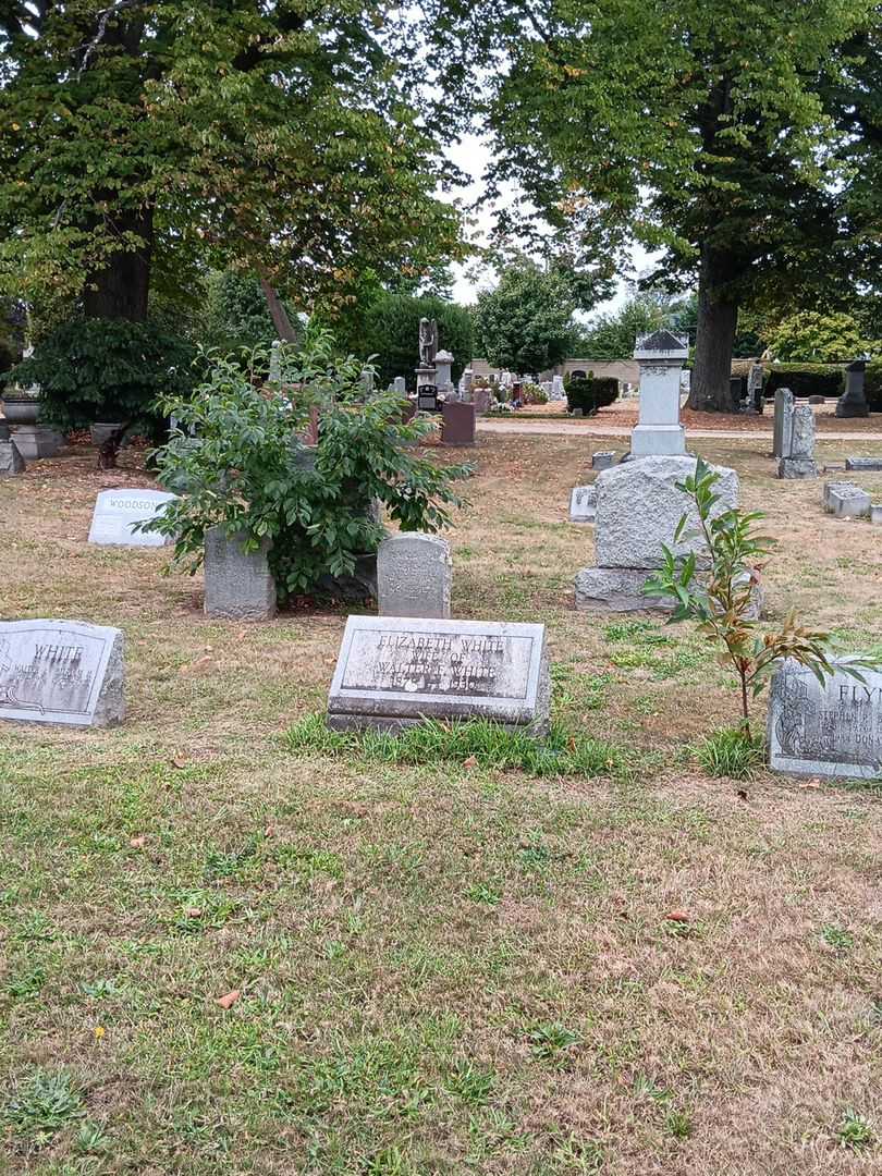 Elizabeth White's grave. Photo 1