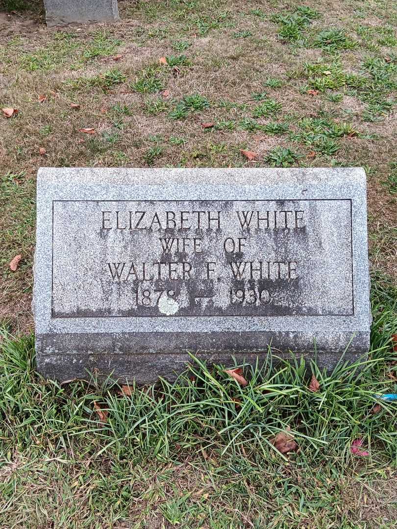 Elizabeth White's grave. Photo 2