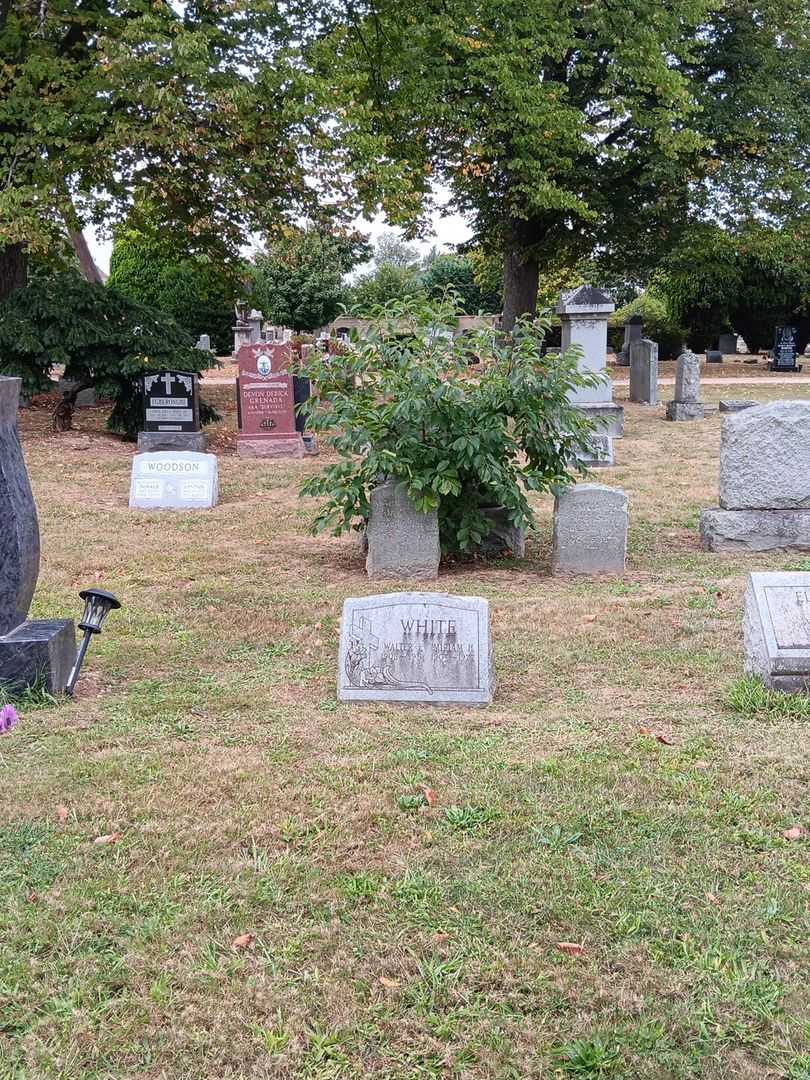 Miriam H. White's grave. Photo 1