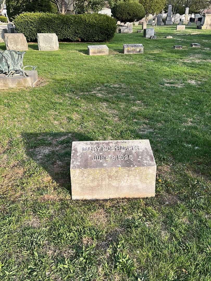 Mary Hoe Harper's grave. Photo 2