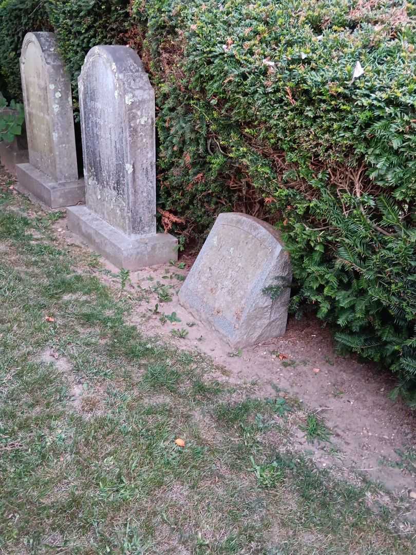 Maitland Tabb Ijams Junior's grave. Photo 1