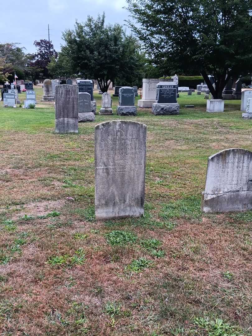 James White's grave. Photo 1