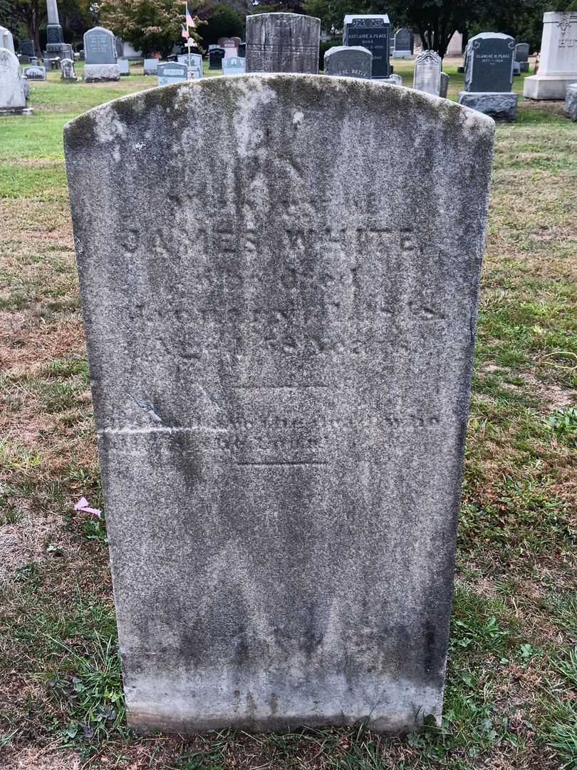 James White's grave. Photo 2