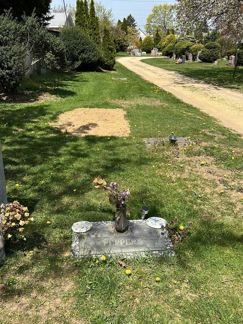 Rashard L. "Shardy" Peppers's grave. Photo 1