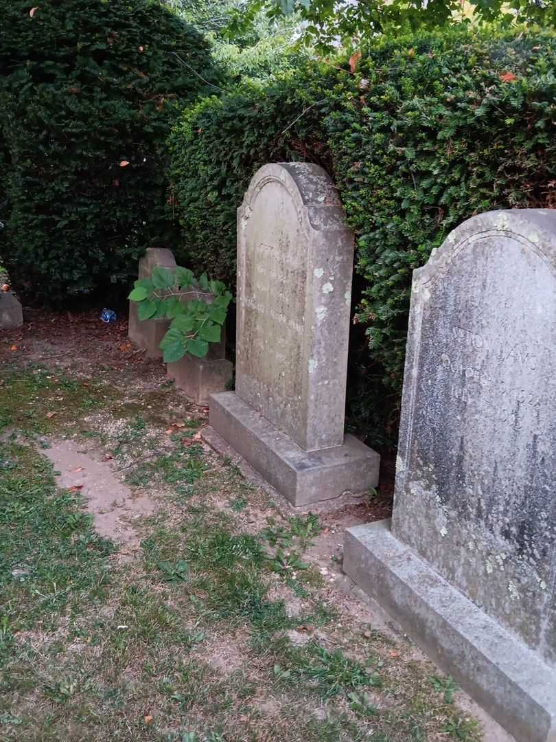 Margaret Seton Ijams's grave. Photo 1