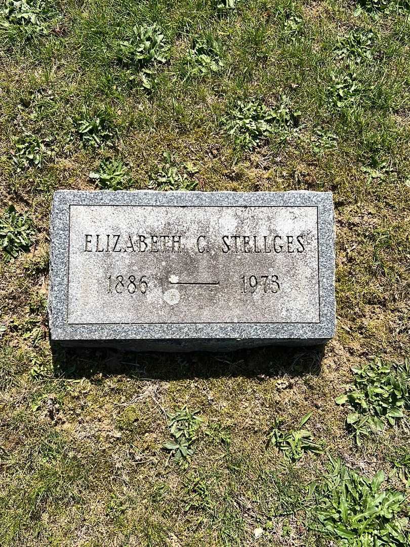 Elizabeth C. Stellges's grave. Photo 3