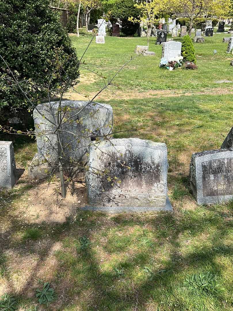 Harry Lee Nash's grave. Photo 1