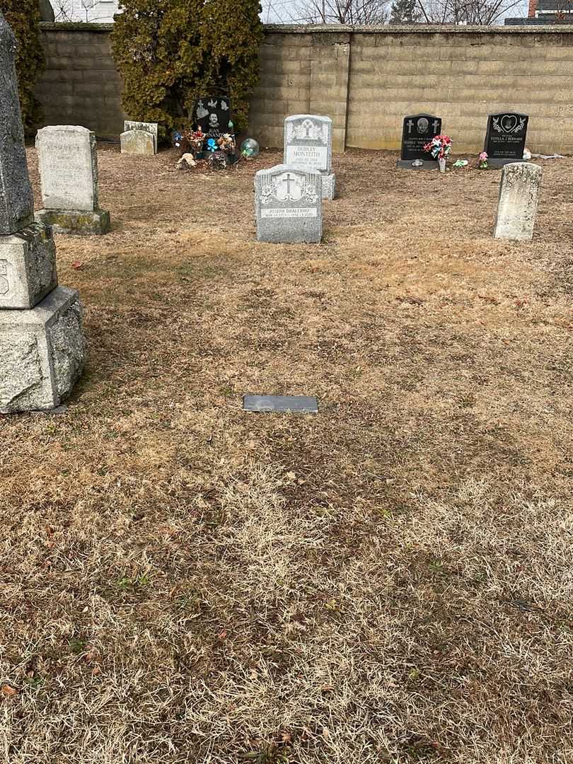 Joseph Decius Saint Vistal's grave. Photo 1