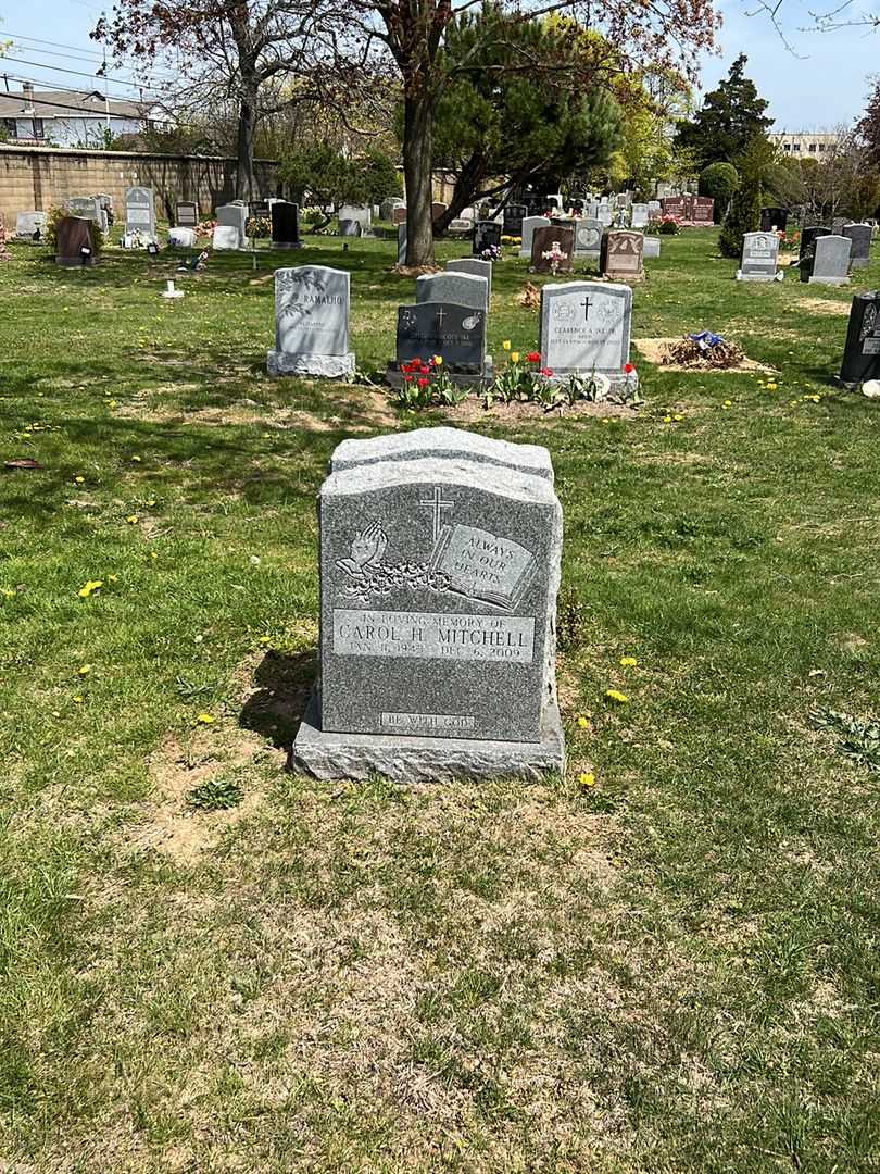 Carol H. Jacobs Mitchell's grave. Photo 1