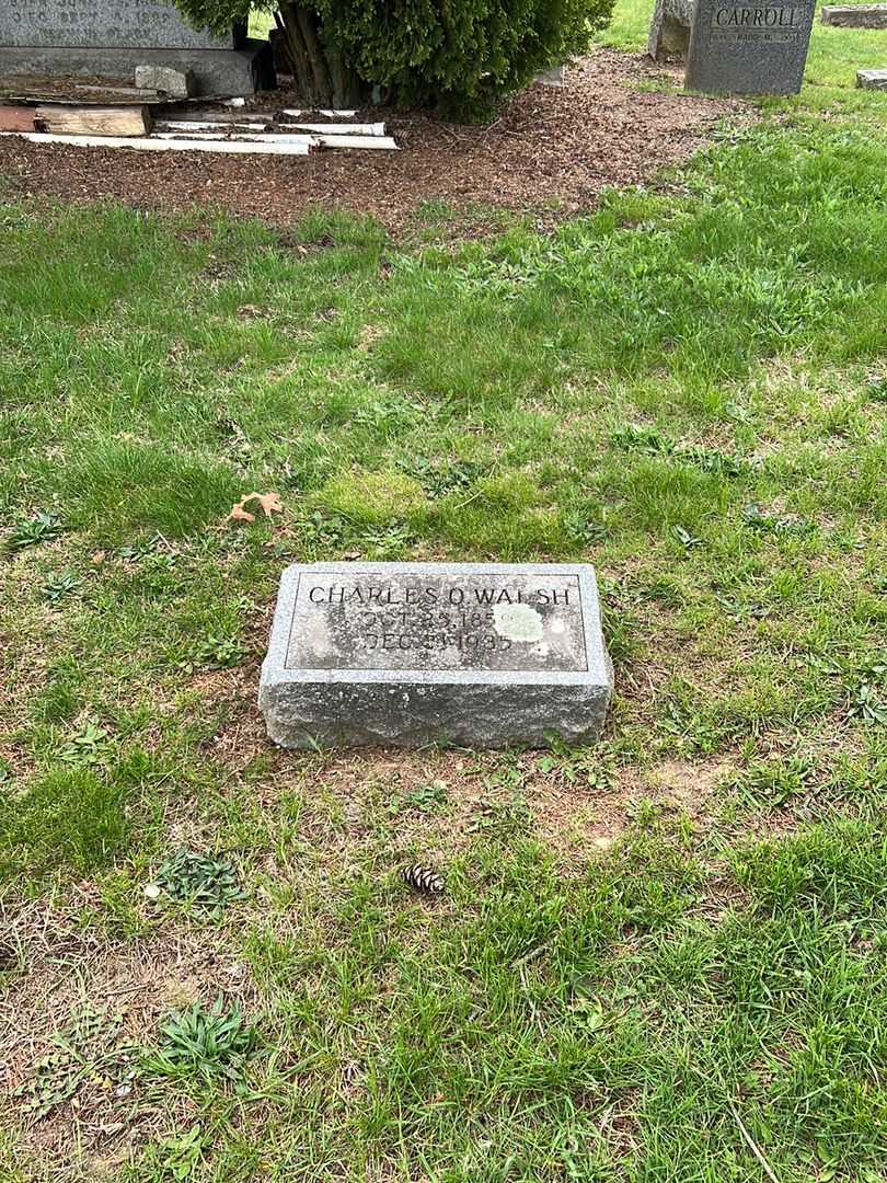 Charles O. Walsh's grave. Photo 1